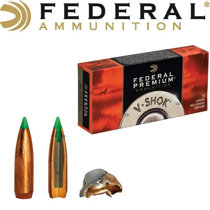 BALLES FEDERAL NOSLER BALLISTIC TIP V-SHOCK 243WIN 70 Grains PAR 20